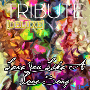 ove You Like a Love Song (Selena Gomez & The Scene Tribute)