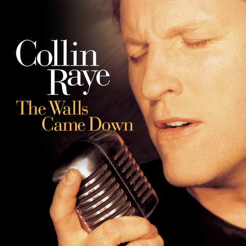 I Can Still Feel You (Album Version)