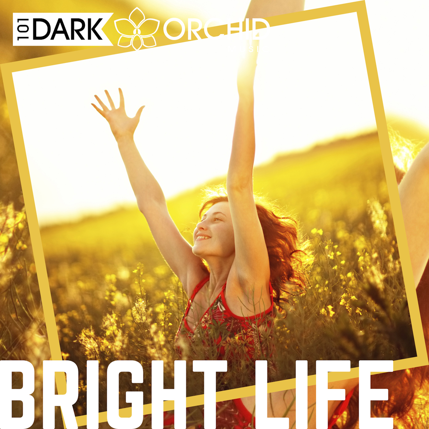 101 Dark Orchid Music Backpacking iHeartRadio