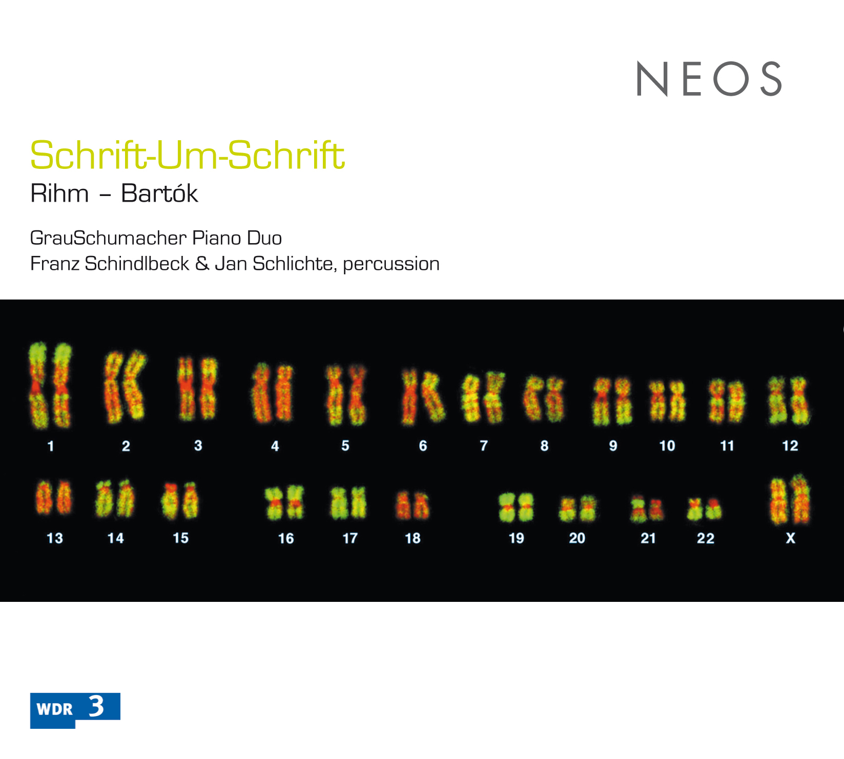 Sonata for 2 Pianos and Percussion, BB 115, Sonata for 2 Pianos and Percussion, BB 115: III. Allegro non troppo