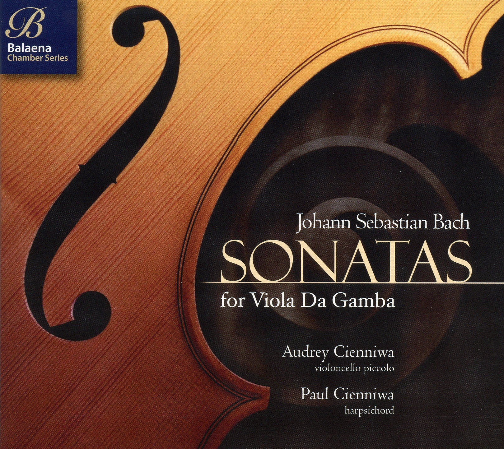 Viola da Gamba Sonata in G Minor, BWV 1029, Viola da Gamba Sonata in G Minor, BWV 1029: I. Vivace