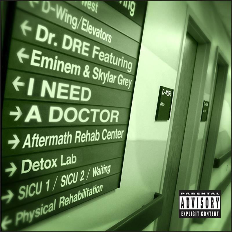 I Need a Doctor feat. Eminem & Skylar Grey
